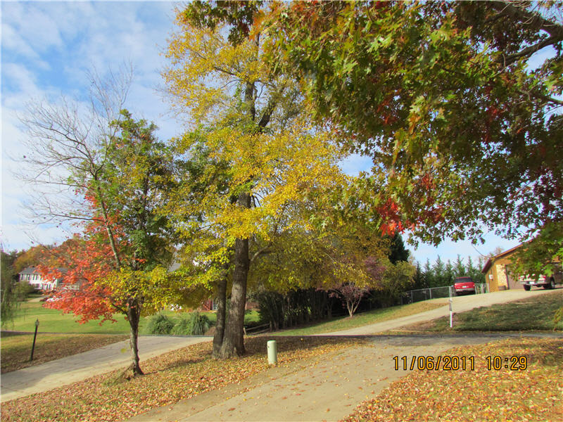 Gold Creek Estates HOA, NC